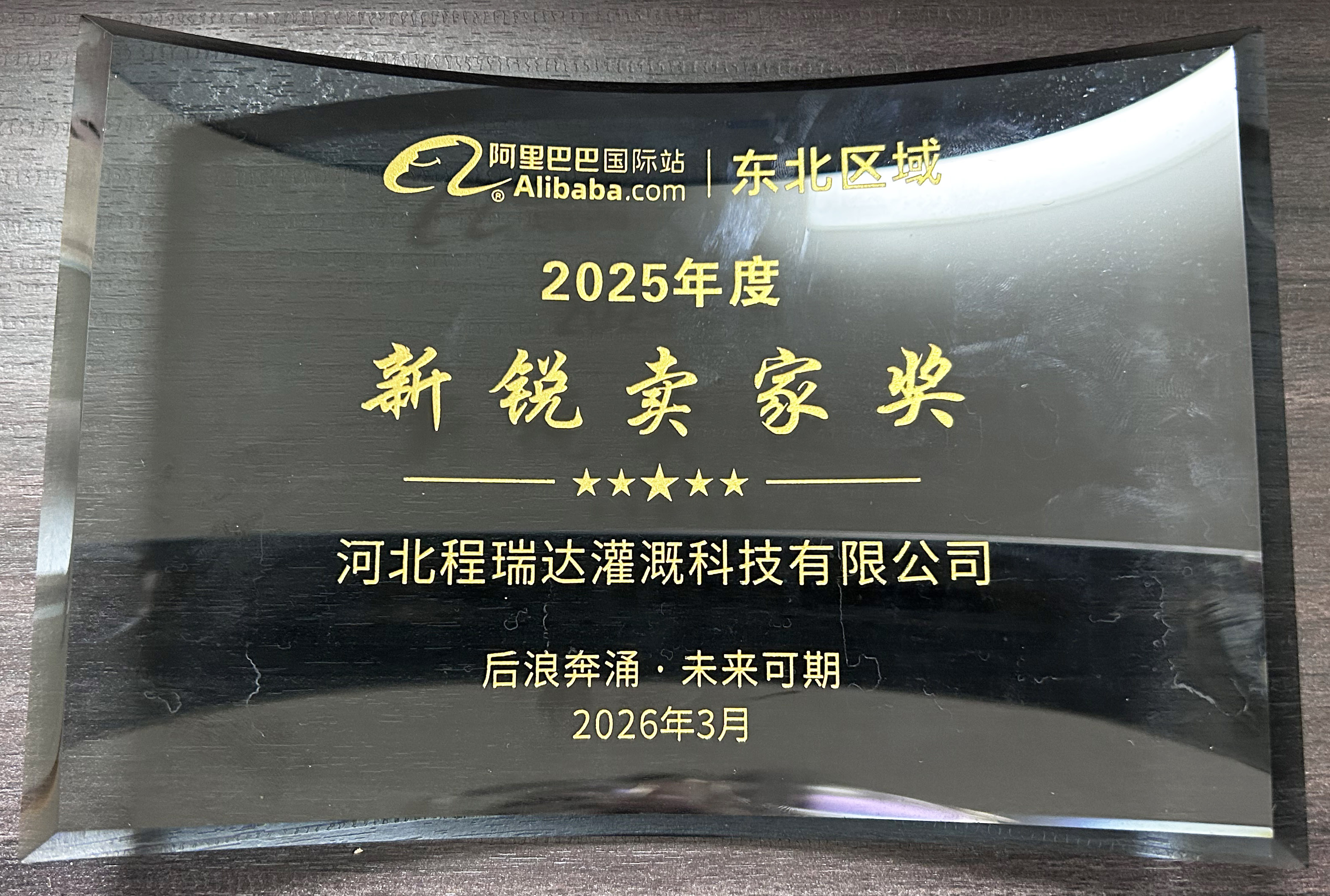 中卫程瑞达灌溉 | 荣获阿里国际站新锐卖家奖